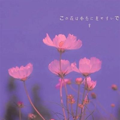 开玩棋牌app下载